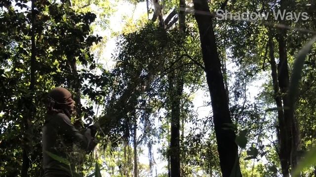 Shadow Ways I Stealth Training I 鈎縄 Kaginawa I Woods I Survival I Modern Ninjutsu смотреть онлайн