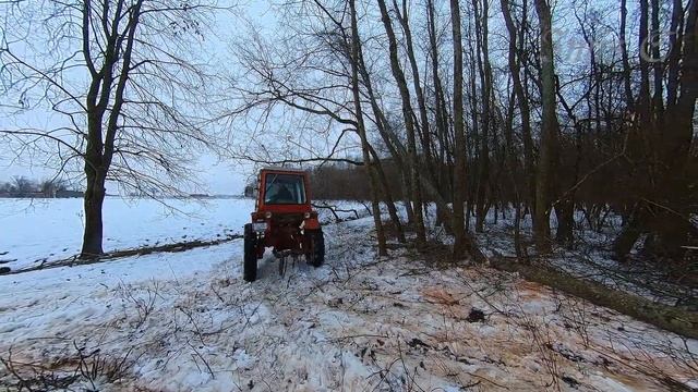Т-25 и заготовка дров. смотреть онлайн