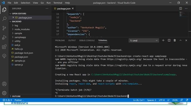 NodeJS Crash Course - npm, npx, nvm, nvs (Part-3) in Telugu from scratch #VenkateshMogili #WebGuru смотреть онлайн