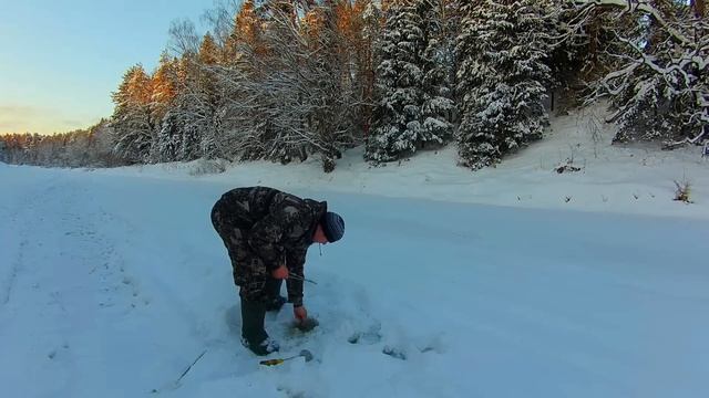 ✔ ВОТ ЭТО РЫБАЛКА! Хищник попался на каждую жерлицу Проверяю жерлицы оставленные на ночь смотреть онлайн