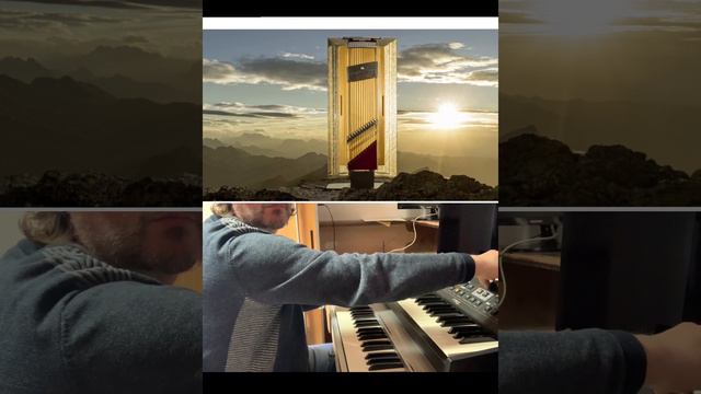 Moog Analog Sounds on Strings ( ➡️ Syntharp String-Loudspeaker and Moog Phatty Stage 2) смотреть онлайн