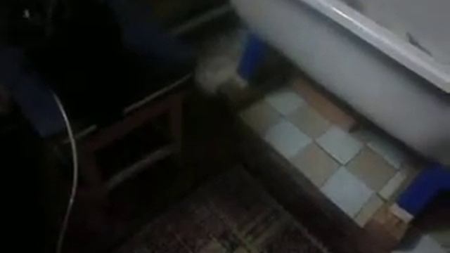 Жук смотреть онлайн
