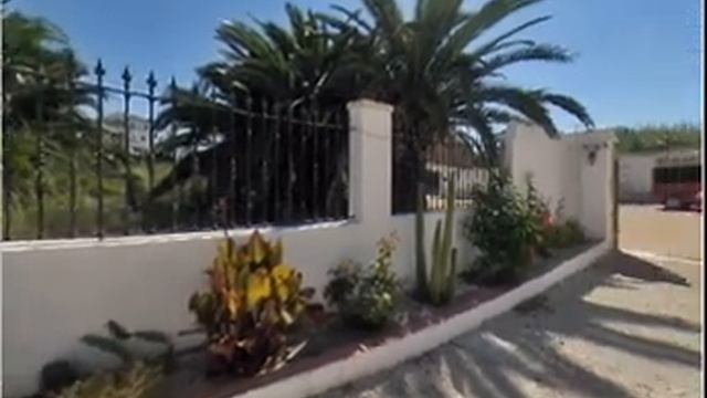 Palm View - Test AVI. смотреть онлайн