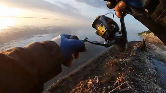 Ловля судака в низовьях Волги смотреть онлайн