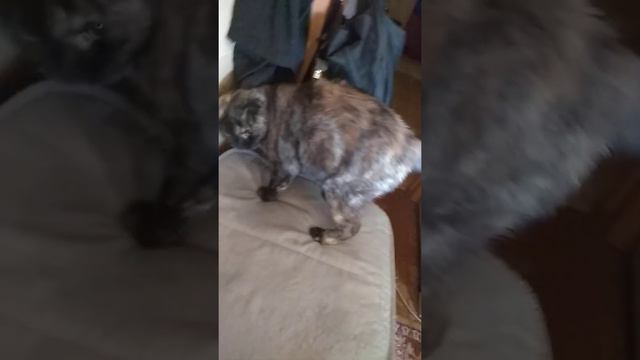 Не хочу говорить,выключи камеру. смотреть онлайн