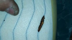 Hyundai Solaris/Kia Rio. Замена подогрева сиденья.