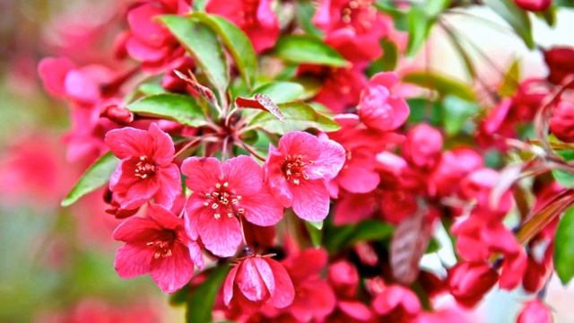 Телепатия. Информационно энергетический обмен между людьми.