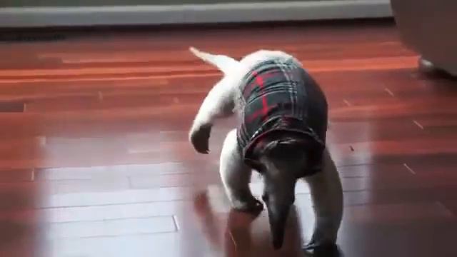 Когда после качалки, пришел домой смотреть онлайн