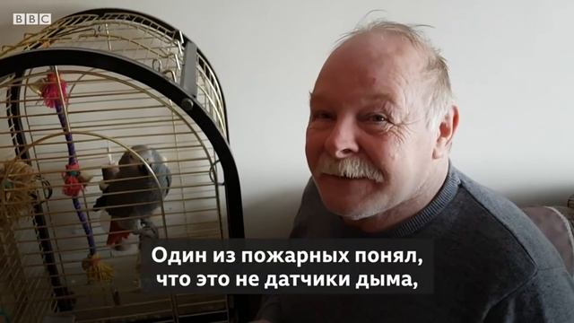 Попугай, который идеально имитирует телефонный звонок смотреть онлайн