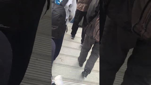 Landed in Shanghai Pudong Airport смотреть онлайн