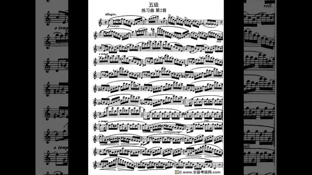 ERNESTO KOEHLER Flute Etudes （op.33 3 vols）Shuxuan Wang player смотреть онлайн