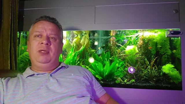🔴 Выводы по закону о судебно экспертной деятельности в РК смотреть онлайн