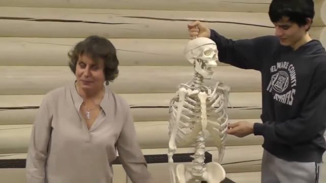 Бернштейн и Фельденкрайз Лекция в Лепоте Часть 1 смотреть онлайн