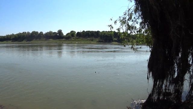 День рыбака  Днестровская рыбалка. Сом и тонкая плетёнка.