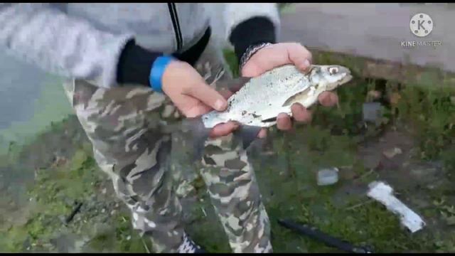 15 августа 2021 г. Рыбалка на Москва реке, на Леща!!! смотреть онлайн