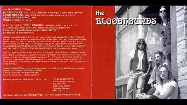 The Bloodhounds - Country Line - Shine a Light смотреть онлайн