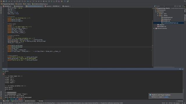 Session 01 - Python Basics смотреть онлайн