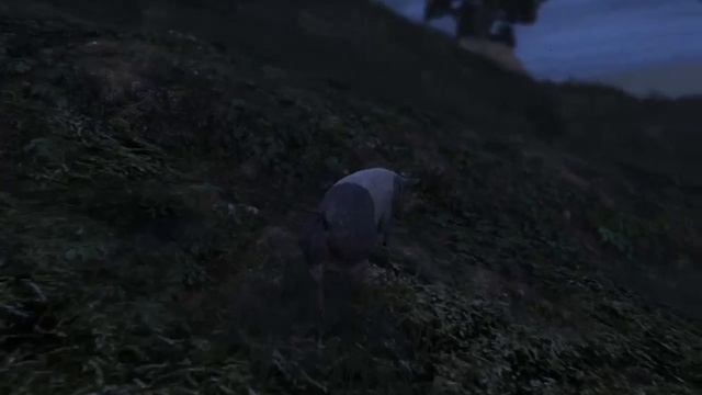 how to find animal plants in GTA V part 9 смотреть онлайн