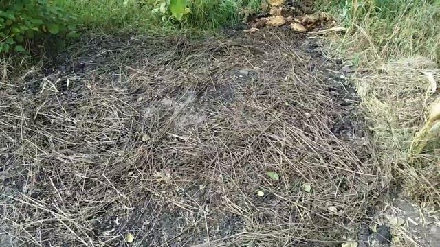 Подготовка грунта на сезон 2023