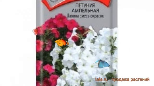 Петуния ампельная Лавина смесь окрасок F1 ? обзор: как сажать, семена петунии смотреть онлайн
