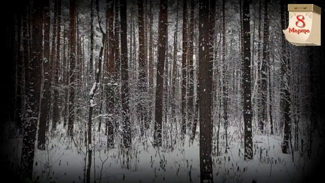 Поздравление на 8 марта смотреть онлайн