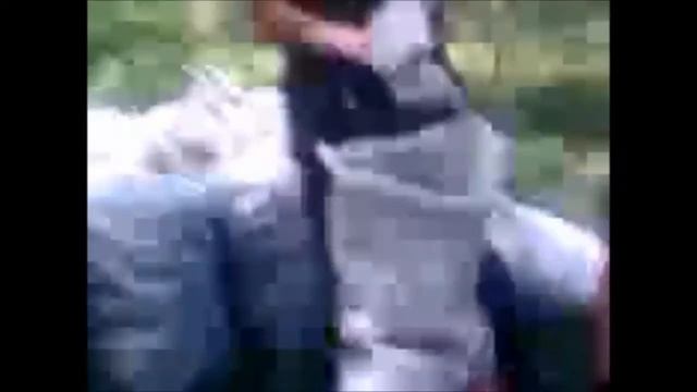 Рассказываю про кедровые орешки