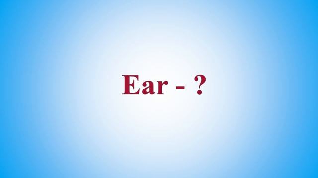 Английские слова методом ассоциаций. Body parts (1 часть). смотреть онлайн