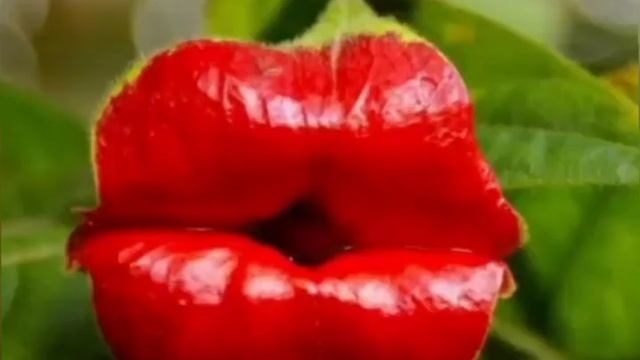 с праздником 8 марта смотреть онлайн