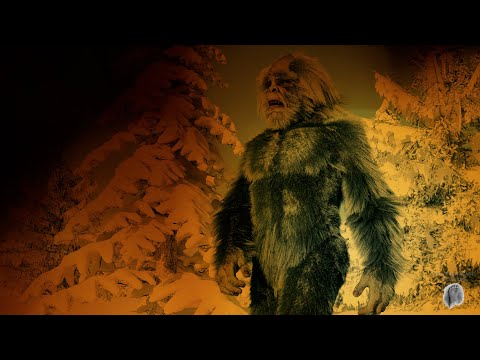 BIGFOOT ENCOUNTERS YOU'VE DEFINITELY NEVER HEARD OF смотреть онлайн