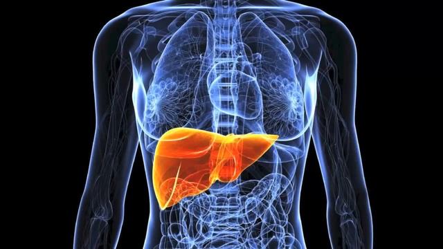 Чем очистить печень? Остаться молодой и красивой смотреть онлайн