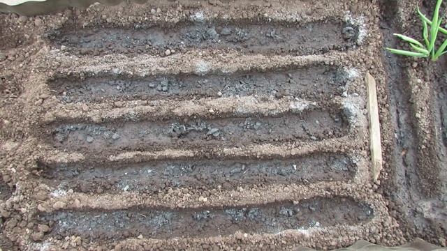 Посев зелени и овощей в апреле в открытый грунт 2019 | Про Сад с Любовью смотреть онлайн