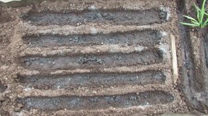 Посев зелени и овощей в апреле в открытый грунт 2019 | Про Сад с Любовью