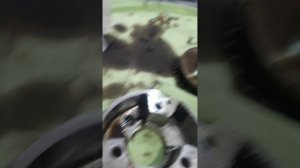 Муфта vvt - i 1kr. Заклинило