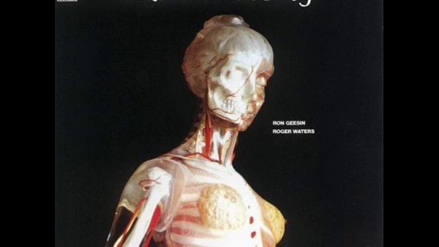 The Womb Bit - Roger Waters смотреть онлайн