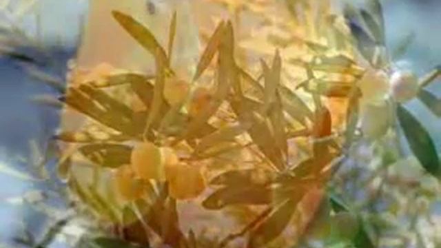 ПРОСТО ПОСЛУШАЙТЕ! (нравится) смотреть онлайн