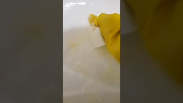 Удаление пыльцы лилий с актировой ванны! смотреть онлайн