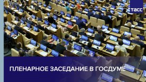 Пленарное заседание в Госдуме