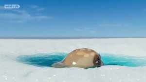 Being Delulu is the SoluluㅣSEALOOKㅣEpisodes Compilation