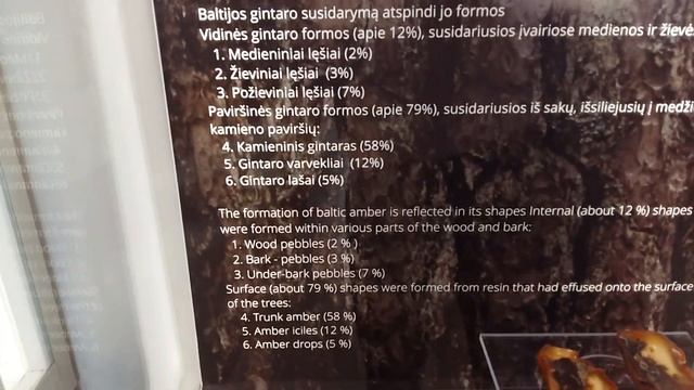 AMAZING AMBER ❤ЕКСКУРСИЯ ЯНТАРЬНЫЙ МУЗЕЙ В ПАЛАНГЕ НЕПОВТОРИМЫЕ КРАСОТЫ БАЛТИЙСКОГО МОРЯ ❤ смотреть онлайн