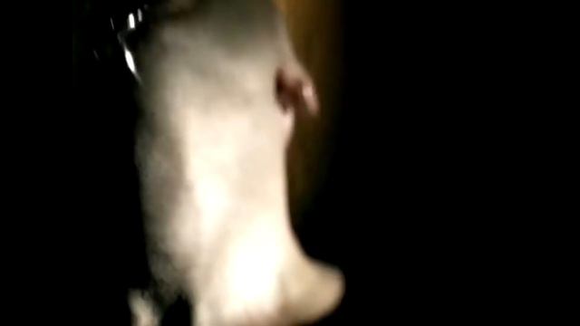 Top 50 Nu Metal Songs. The Best Nu Metal Songs. смотреть онлайн