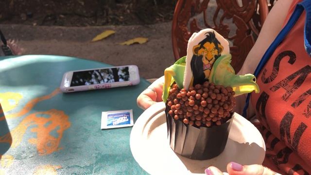Casual Sunday At Animal Kingdom | Disney World смотреть онлайн