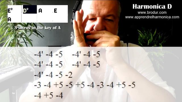 3 intros blues in the key of A (part 02) - WITH TABS - 4 bars - Harmonica D смотреть онлайн
