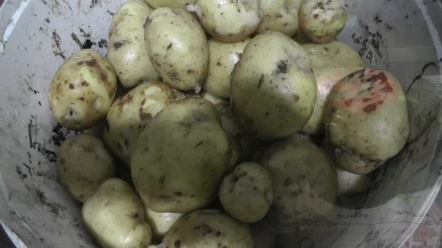 ВАРЕНЬЕ,ОГУРЦЫ,КОМПОТ,СУП ГРИБНОЙ/ПРОСТО ТАК,ЖЕНЕ/