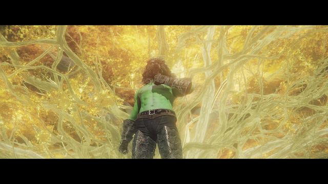 The Wolf of Elden Ring Street - Blaidd Chant смотреть онлайн