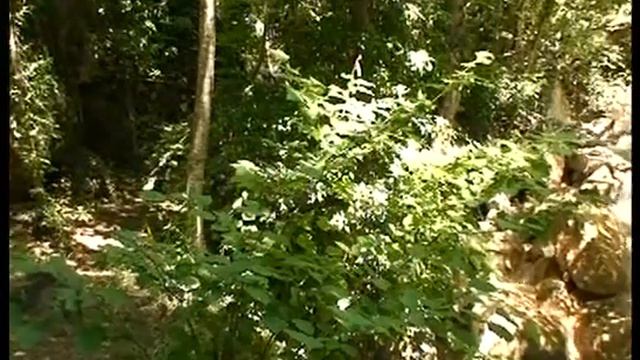 Ускутские водопады.avi смотреть онлайн