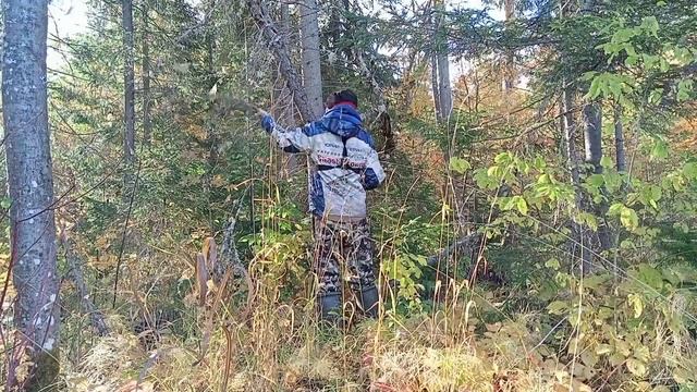 Зачем мне ЭТО? Оставайтесь лучше ДОМА! Спиннинг больше не нужен. смотреть онлайн