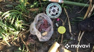 Ловим СОМА!!! Мой способ оснащения крючка куриной печенкой !!!