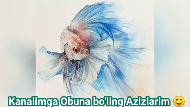 Tushda BALİQ Ko'rsa Nima Bo'ladi❓ тушда БАЛИК курса нима булади❓