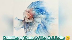 Tushda BALİQ ko'rsa nima bo'ladi❓ тушда БАЛИК курса нима булади❓