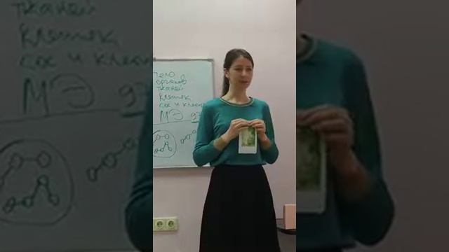 BeverLee club Новый продукт Top Force энергия долголетия смотреть онлайн